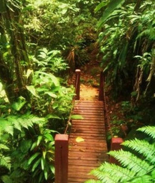 Hotel Bosques Do Massaguacu Caraguatatuba Eksteriør bilde